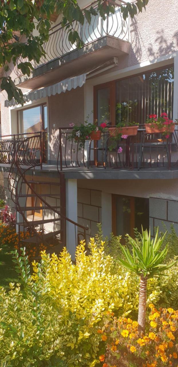 Kyurkchievi Guest House Sapareva Banya Exterior photo